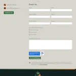 Tetra Advisory website contact form with fields for name, email, and more on a beige background. Options include referral source checkboxes. Green "Send Email Message" button.